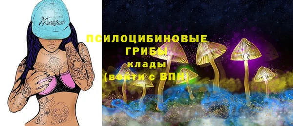молекула духа Алексин